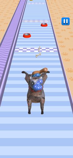 Pet Care Runner - Screenshot 1