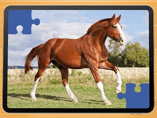 Horse puzzle game PRO - Screenshot 3