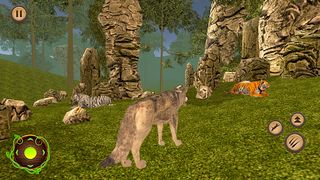 Wild Wolf And Tiger Simulator - Screenshot 3