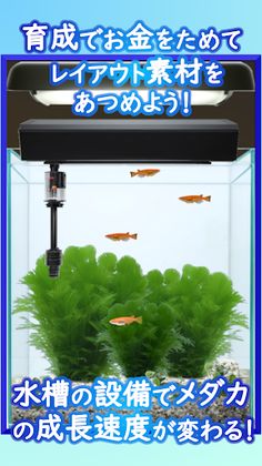 Medaka Aquarium Breeder - Screenshot 3