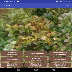 MOZZILANDIA_6 - Screenshot 1