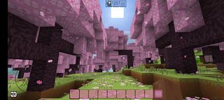 MineTown - Screenshot 1