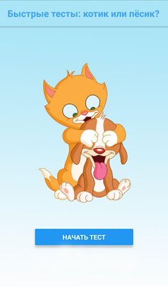 Быстрые тесты: ты котик или пё - Screenshot 1