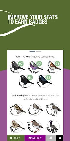 Bird Bingo - Bird Watching UK - Screenshot 3