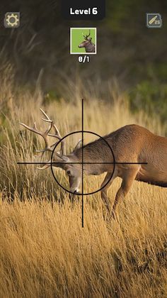 Animal Hunter: Wild Shooting - Screenshot 2