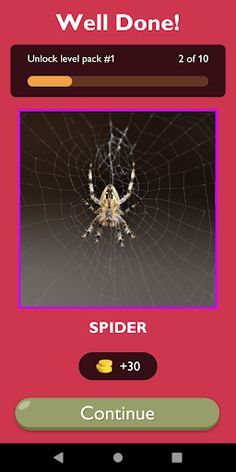 Insect Explorer Game - Screenshot 4