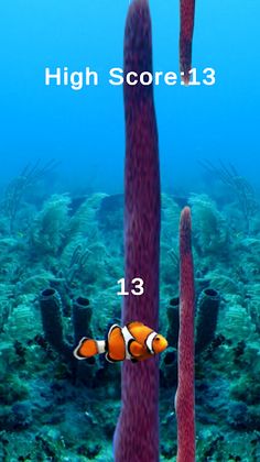 Clown Fish - Screenshot 2