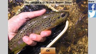 Fly Fishing Simulator HD - Screenshot 3