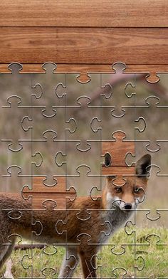 Fox Jigsaw Puzzles Games - Screenshot 4