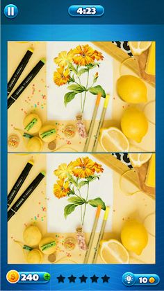 Spot the Differences - Find Th - Screenshot 4