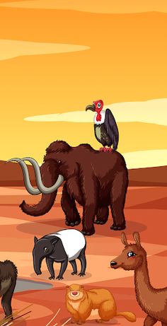 Guess the animal - Screenshot 4