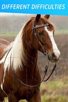 Pony and Horse Jigsaw Puzzles - Screenshot 2