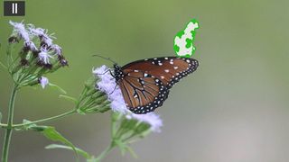 Found It! Kids - Screenshot 2