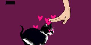 Bug Petter - Screenshot 2