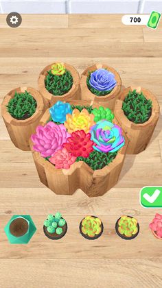 DIY Succulents - Screenshot 3