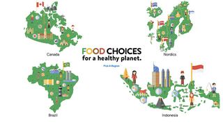 Food Choices for a Healthy Pla - Screenshot 2