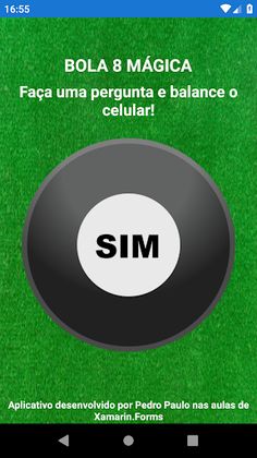 Magic 8 Ball - Screenshot 2