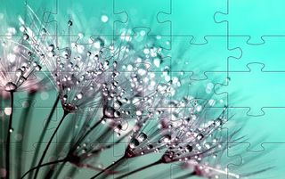 Cool jigsa puzzl collection hd - Screenshot 2