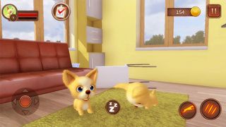 Chihuahua Dog Simulator - Screenshot 1