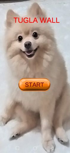 Tugla Wall - Screenshot 1