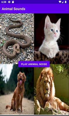 Animal Sounds - Screenshot 1