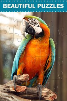 Amazing Birds - Jigsaw Puzzles - Screenshot 1
