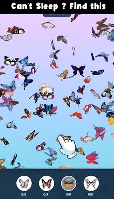 Butterfly Hunt - Screenshot 1