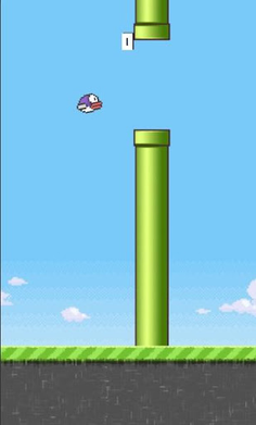 The Bird Game - Screenshot 2