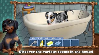 DogWorld Premium - My Puppy - Screenshot 3