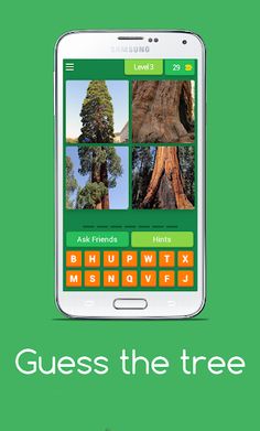 Guess the tree - Tree species  - Screenshot 4