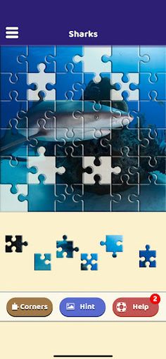 Shark Lovers Puzzle - Screenshot 4