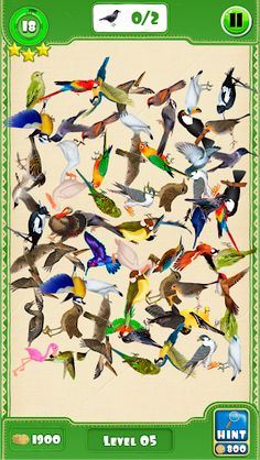 Hidden Pigeon Game Find Birds - Screenshot 3