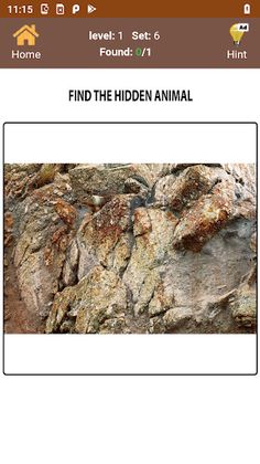 Hidden objects and Animals - Screenshot 4