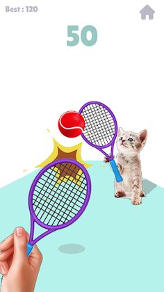 Meme Tennis Cat - Screenshot 4