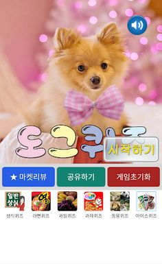 도그퀴즈 - Screenshot 1