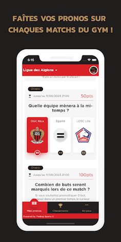 Ligue des Aiglons - Screenshot 1