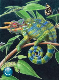 ABC Dino English - Screenshot 1