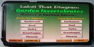 Label that Diagram - Garden In - Screenshot 1