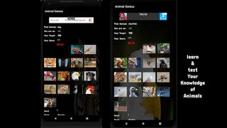 Animal Genius - Screenshot 2