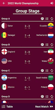 World Soccer Simulator 2022 - Screenshot 3