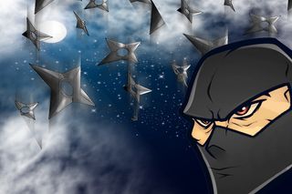 Ninja Run 3D - Screenshot 1