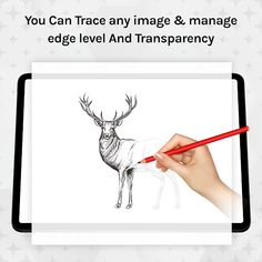Draw Sketch & Trace - Screenshot 1