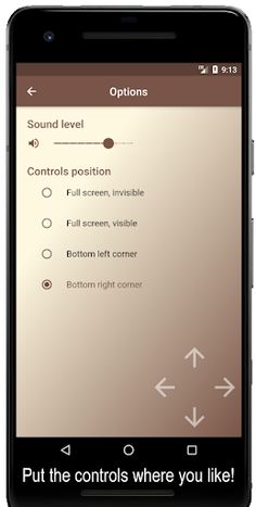 Sokoban Brainer - Screenshot 3