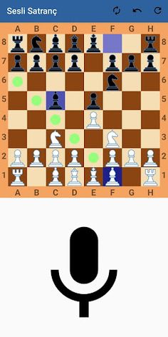 Sesli Satranç - Screenshot 3