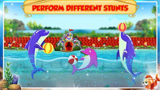 Dolphin Water Show - Screenshot 1