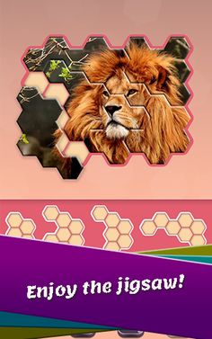 Animals Jigsaw! - Hexa puzzle - Screenshot 4