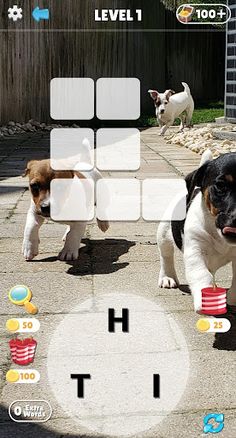 Pocket Puzzles - Screenshot 4