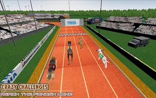 Dog Racing game - dog games - Screenshot 1