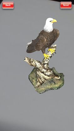 Bold AR - Screenshot 3