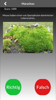 GoMatura Biologie Quiz für Mat - Screenshot 4